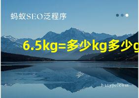 6.5kg=多少kg多少g