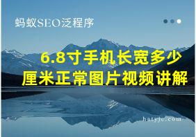 6.8寸手机长宽多少厘米正常图片视频讲解