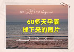 60多天孕囊掉下来的图片