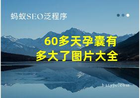 60多天孕囊有多大了图片大全