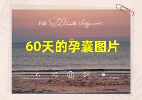 60天的孕囊图片