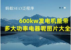 600kw发电机能带多大功率电器呢图片大全