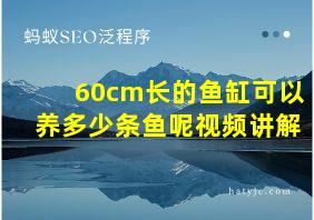 60cm长的鱼缸可以养多少条鱼呢视频讲解