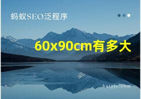 60x90cm有多大