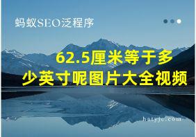 62.5厘米等于多少英寸呢图片大全视频