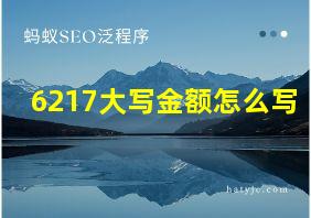 6217大写金额怎么写