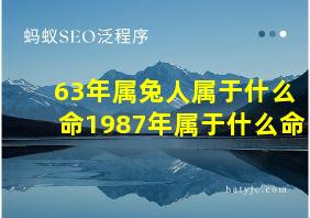 63年属兔人属于什么命1987年属于什么命