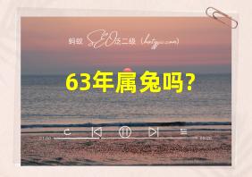 63年属兔吗?