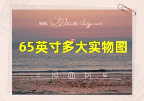 65英寸多大实物图