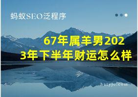 67年属羊男2023年下半年财运怎么样