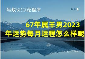 67年属羊男2023年运势每月运程怎么样呢