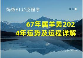 67年属羊男2024年运势及运程详解