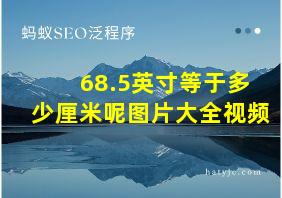 68.5英寸等于多少厘米呢图片大全视频