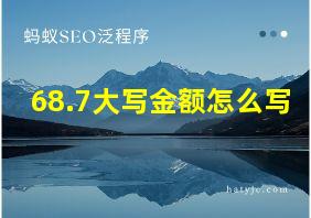 68.7大写金额怎么写