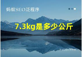 7.3kg是多少公斤