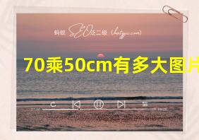 70乘50cm有多大图片