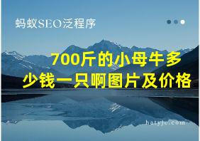 700斤的小母牛多少钱一只啊图片及价格