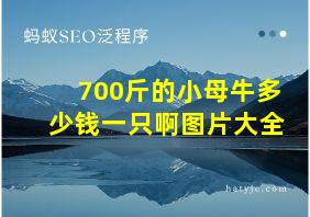 700斤的小母牛多少钱一只啊图片大全