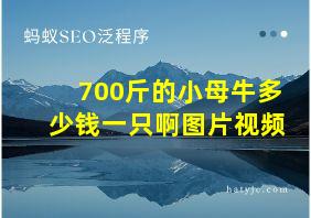 700斤的小母牛多少钱一只啊图片视频