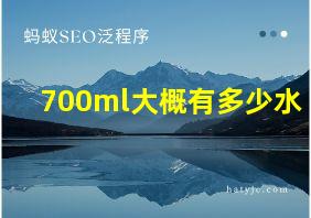 700ml大概有多少水