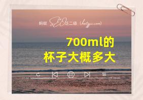 700ml的杯子大概多大