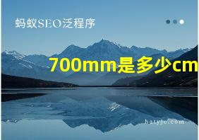 700mm是多少cm