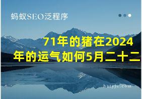 71年的猪在2024年的运气如何5月二十二