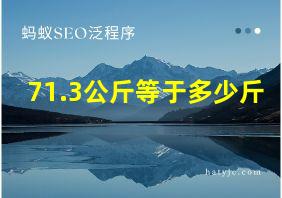 71.3公斤等于多少斤