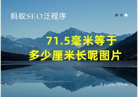 71.5毫米等于多少厘米长呢图片