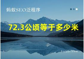 72.3公顷等于多少米