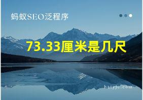 73.33厘米是几尺