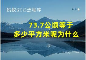 73.7公顷等于多少平方米呢为什么