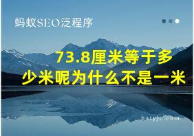 73.8厘米等于多少米呢为什么不是一米