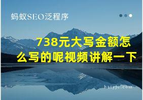 738元大写金额怎么写的呢视频讲解一下