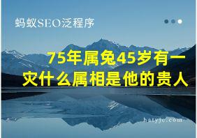 75年属兔45岁有一灾什么属相是他的贵人