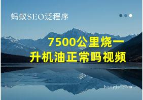 7500公里烧一升机油正常吗视频