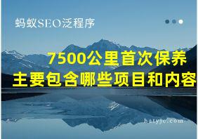 7500公里首次保养主要包含哪些项目和内容