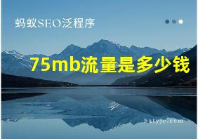 75mb流量是多少钱