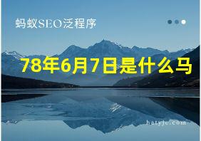 78年6月7日是什么马