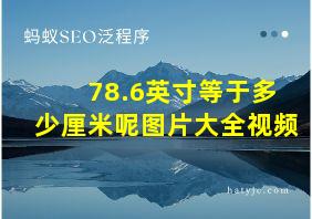 78.6英寸等于多少厘米呢图片大全视频