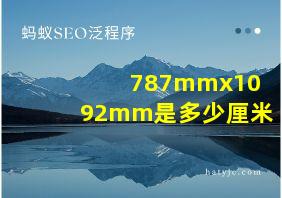 787mmx1092mm是多少厘米