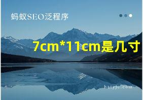 7cm*11cm是几寸