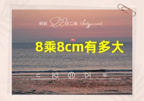 8乘8cm有多大