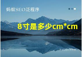 8寸是多少cm*cm