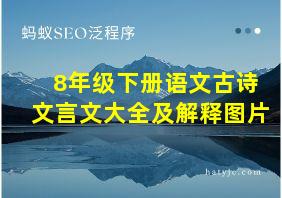 8年级下册语文古诗文言文大全及解释图片