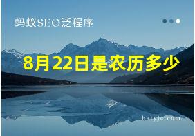 8月22日是农历多少