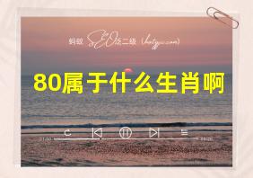 80属于什么生肖啊