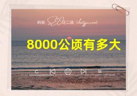 8000公顷有多大