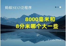 8000毫米和8分米哪个大一些