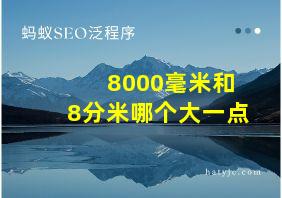 8000毫米和8分米哪个大一点